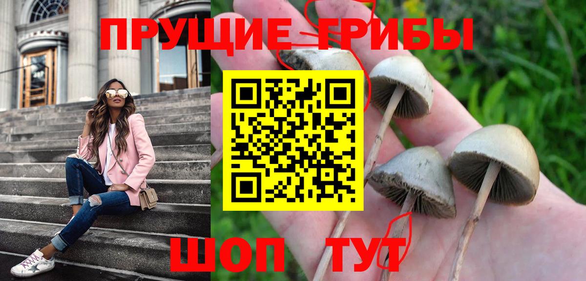Псилоцибиновые грибы Psilocybine cubensis  Вход с VPN  Благовещенск 
